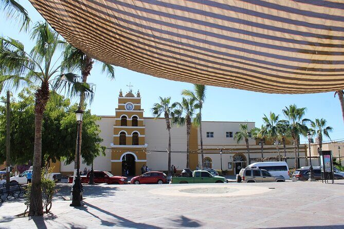 Todos Santos Day Trip from Cabo on Art History and Culinary - What Reviewers Say