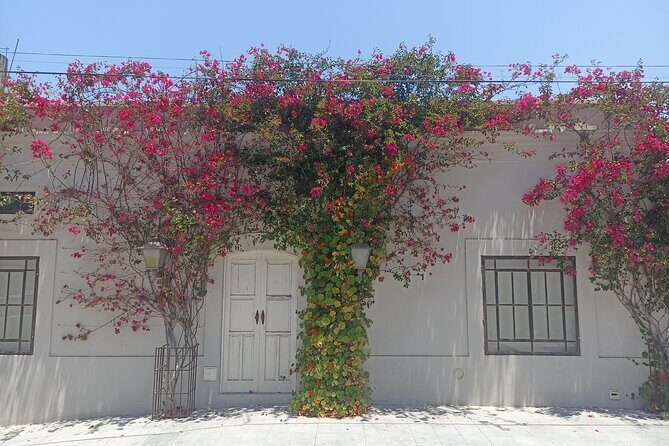 Todos Santos Treasure Hunt - Final Thoughts: Is it Worth It?