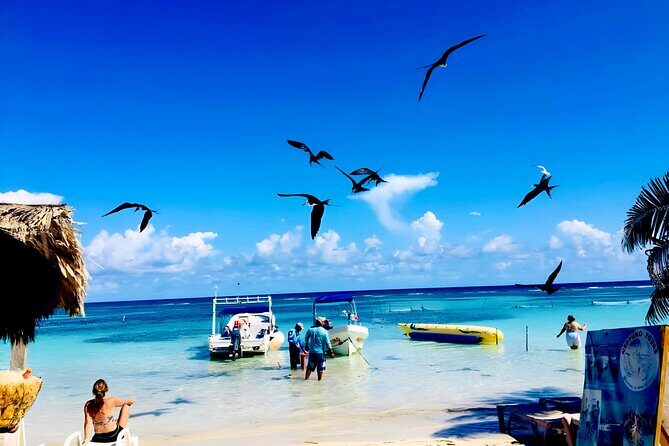 Top Experience: Costa Maya All Inclusive El Faro Beach Club - Who Will Love This Tour?