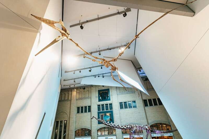 Toronto: Royal Ontario Museum Admission Ticket - Real-World Insights from Visitors