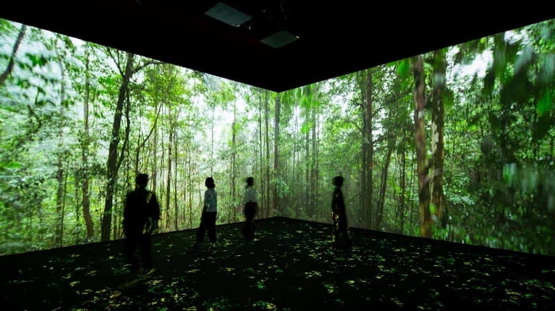 Toronto: Royal Ontario Museum Special Exhibits Voucher - What to Expect When You Visit