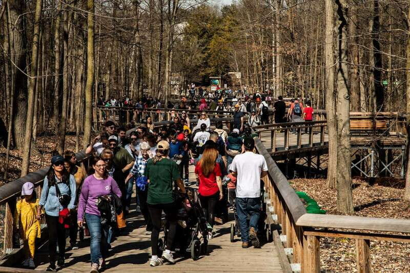 Toronto: Toronto Zoo Entry Ticket - What’s Worth Planning For