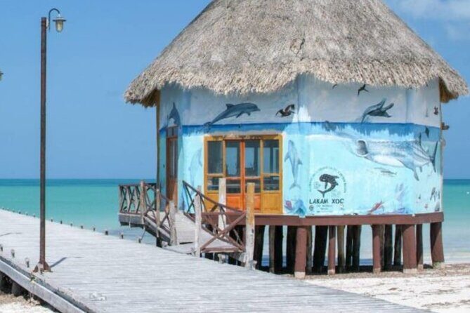 Tour 3 Islands in Holbox Premium Experience - Practical Considerations