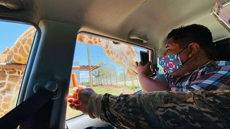 Tour "Bioparque" + Traslados + Tickets incluidos - The Experience for Different Travelers