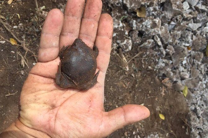 Tour Herpetologico - Who Should Book This Tour?