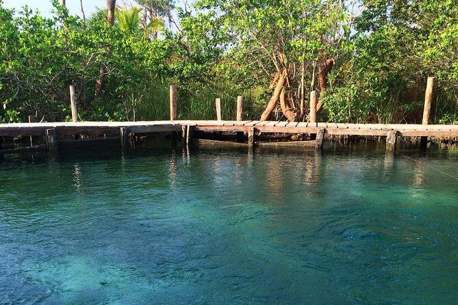 Tour Holbox Enjoy the nature only from Playa del Carmen - Practical Tips for Travelers