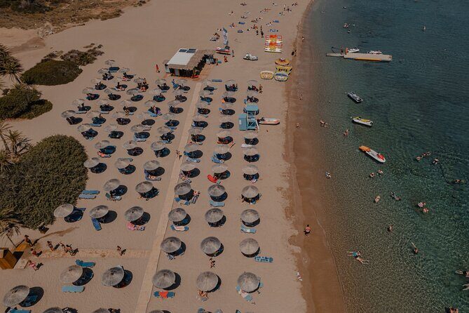 Tour to Sitia, Toplou Monastery and Vai Palm Beach from Ierapetra - Authentic Experiences and Practical Tips