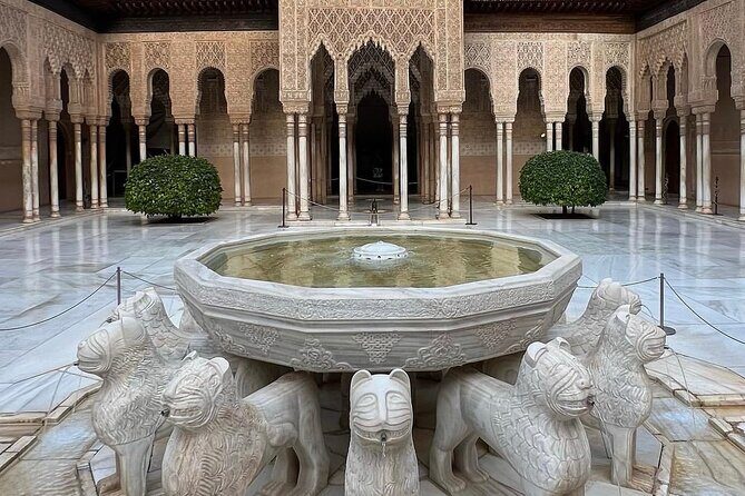 Tours Alhambra Tickets with Tour Guide - Who Will Love This Tour?