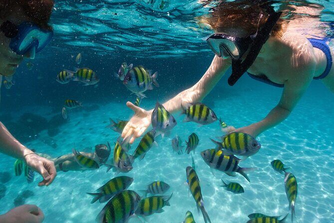 Tours_Miami_Day Trip To Key West From Miami_D662 38439P1 Review - Assessing the Value