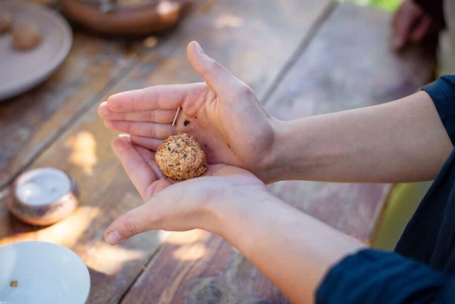 Traditional Vegetarian Food & Village Dance Masterclass - Who This Tour Is Best For