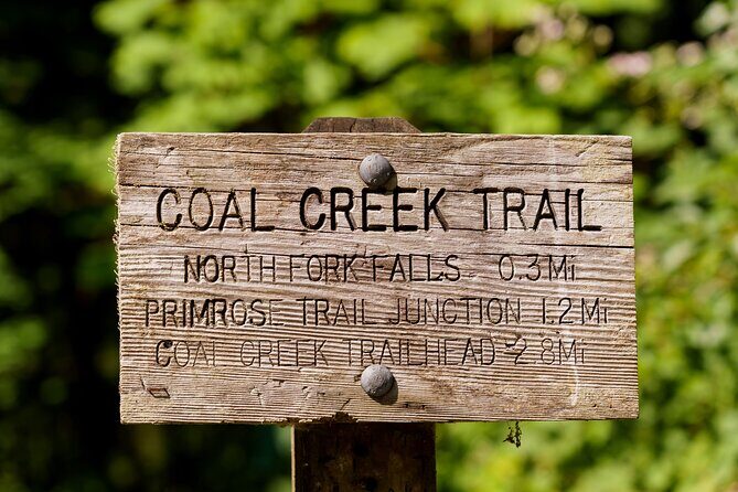 Trails Through Time Bellevue Coal Creek History Hike - Who Will Most Enjoy This Tour?