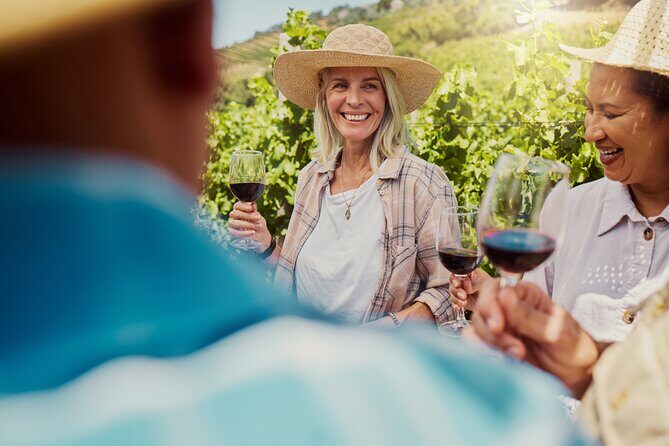 Tramuntana Private Tour & Majorcan Wine Tasting - The Return Journey and Final Views