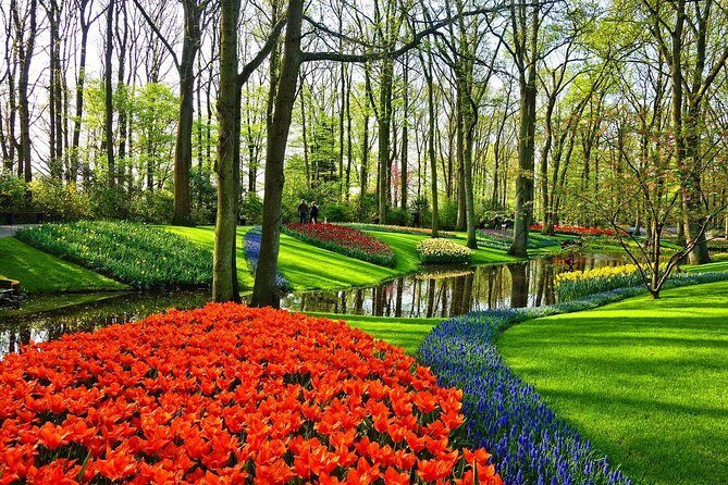 Transfer from Amsterdam to Keukenhof Gardens Tulip from Amsterdam - Final Thoughts
