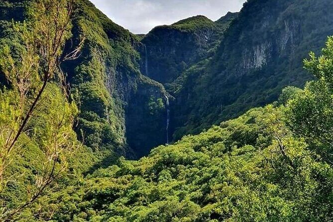 Transfer Rabacal 25 Fontes & Risco Levada Self-Guided - An In-Depth Look at the Tour Experience