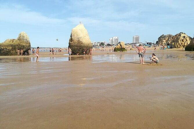 Transfer to Algarve - What Makes This Transfer Stand Out?