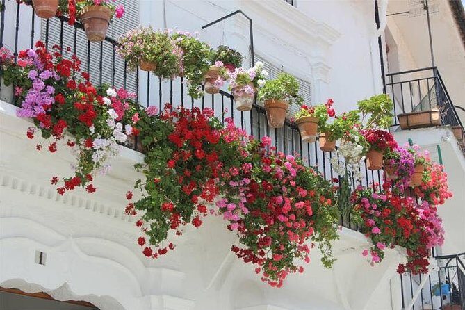 Transfer to Malaga from Seville - The Ride from Seville to Malaga: What to Expect  