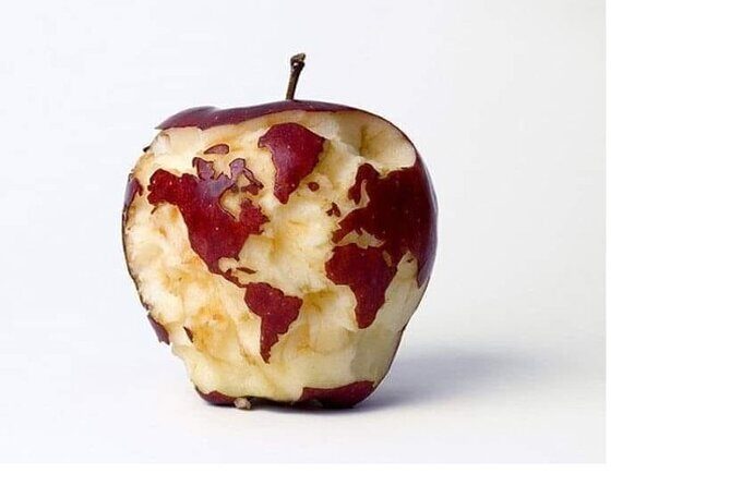 Transfers from Civitavecchia to Fiumicino/Rome - The Vehicle and Comfort