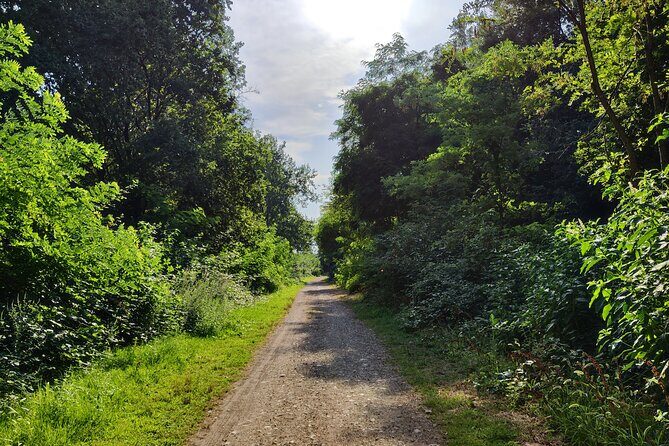 Trekking in the Wood with picnic on the turtles lake - Who Will Love This Tour?