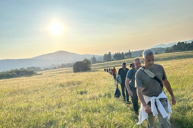 Trekking Rome and Roman Castles: Private Guided Excursions - Who Will Love This Tour?