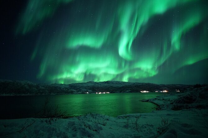 Tromsø: Evening Cruise with Northern Lights Opportunity - Considering the Experience: The Practical Details and Value  