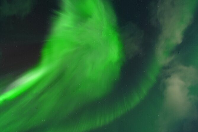Tromsø: Northern Light tour with free complimentary photos. - Who Will Love This Tour?