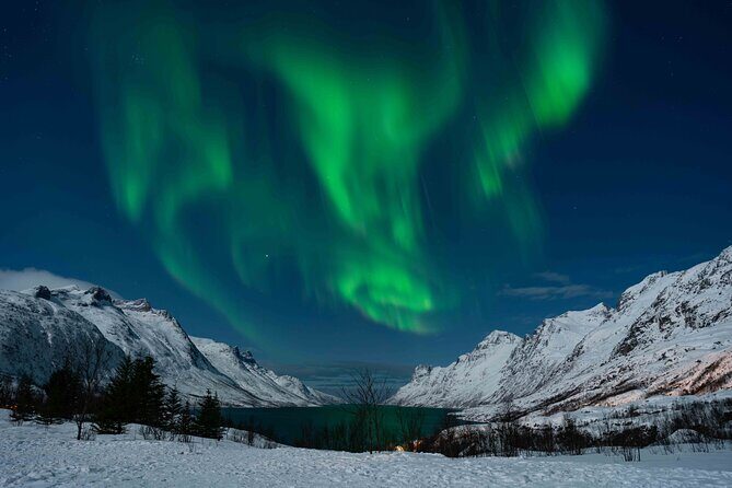 Tromsø Northern Lights with Campfire and Professional Photos - Overview of the Tour