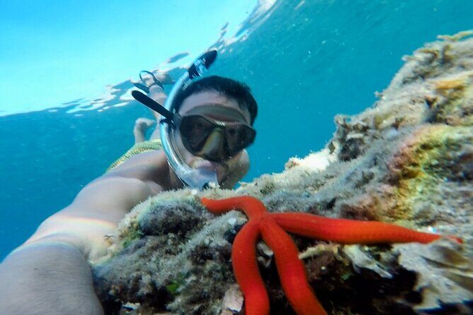 Tropea private boat tour - The Itinerary: What You Can Expect