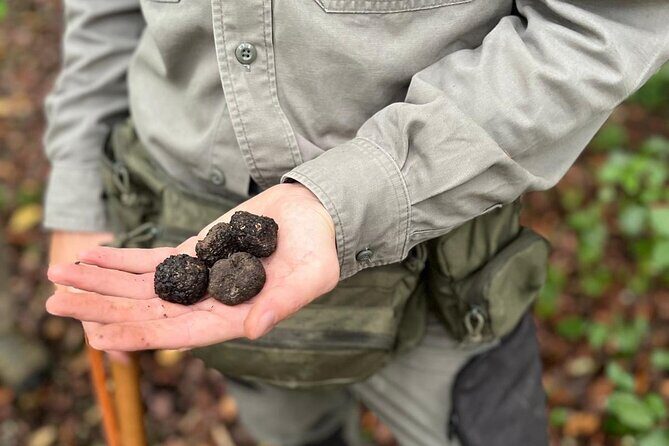 Truffle Hunting, Lunch & Cooking Class in Rome's Countryside - Who Will Enjoy This Experience?