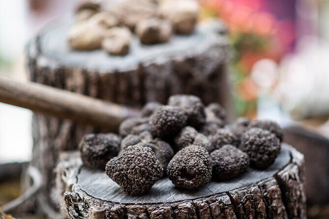 Truffle Hunting with Three Course Meal by Local Family - The Itinerary in Detail: What to Expect