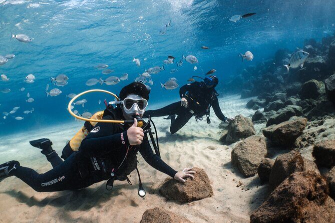Try Scuba Diving | 1 dive - The Booking & Cancellation Process