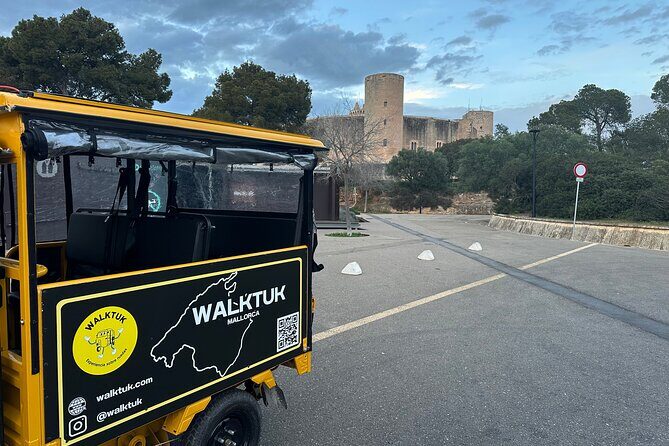 Tuk Tuk Tour in Palma de Mallorca - The Practicalities: Transport, Guides, and Group Size
