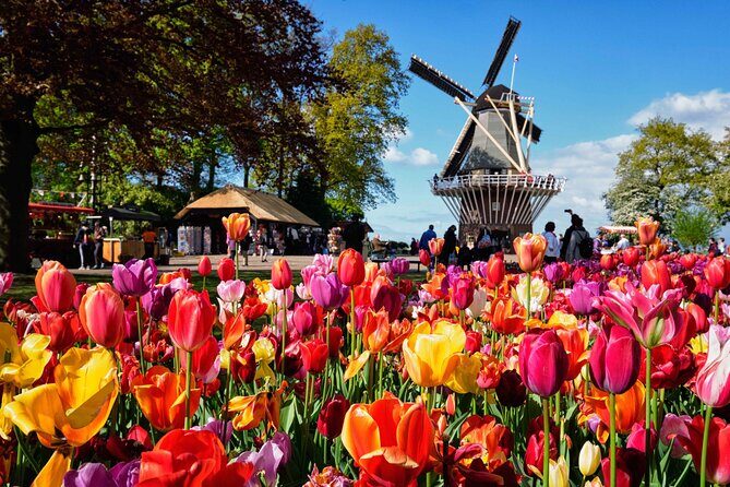 Tulip Paradise: Keukenhof Half-Day Private Tour - Potential Drawbacks and Considerations