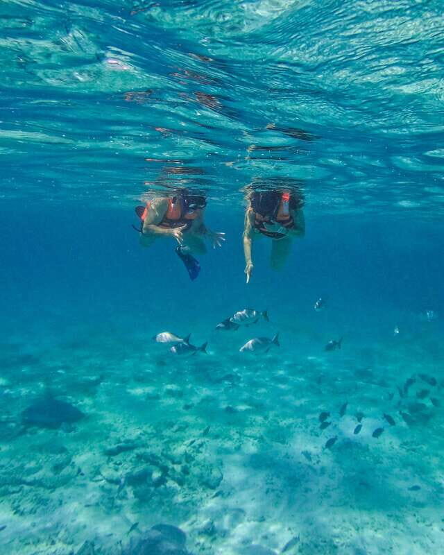 Tulum: 2-Hour Snorkeling in Two Spots of Tulum's Reef - What the Reviews Say
