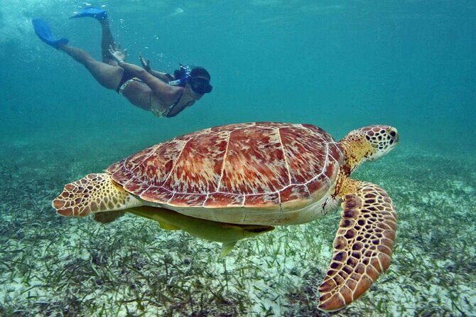 Tulum Adventure Ruins & swim in Akumal Beach & Cenote from Cancun - The Restaurant and Lunch Break