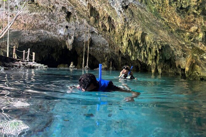 Tulum and Cenote Private Tour Ruins and Swimming - Transportation and Comfort
