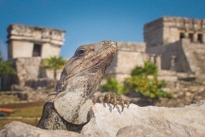 Tulum and Extreme Ride from Cancun - Practical Details & Tips