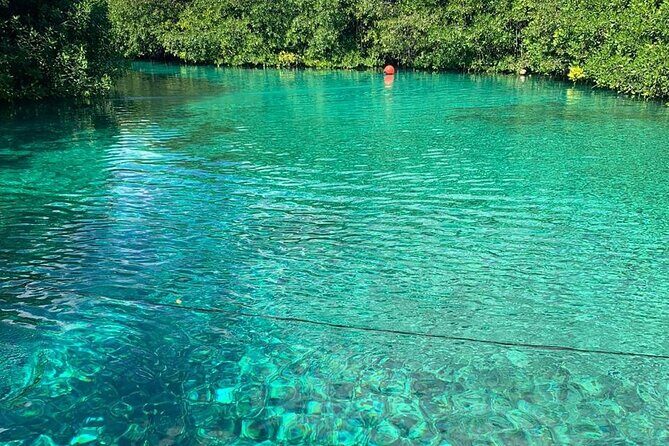 Tulum Area Experiences 2 Tank Guided Scuba Dives at Dos Ojos Cenote's + Lunch - What to Expect: The Day in the Water and Beyond