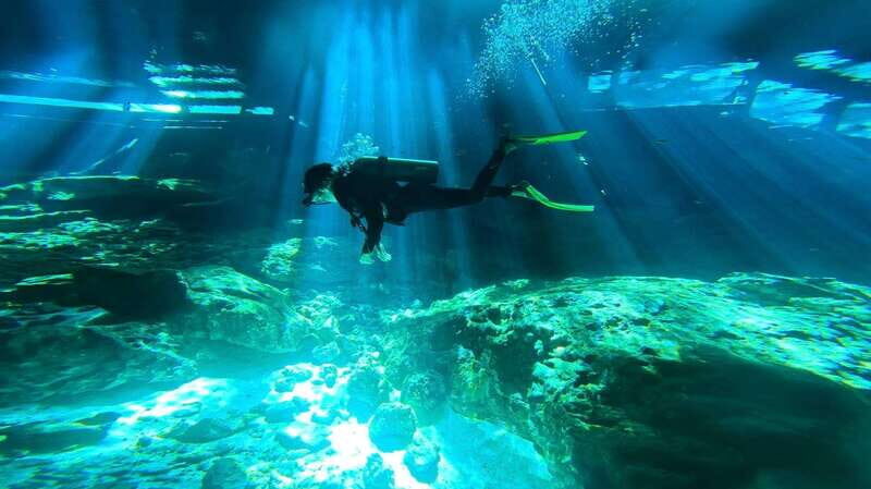 Tulum: Dos Ojos Cenote 2 Scuba Dives with Transfer Option - What Makes This Tour Valuable?