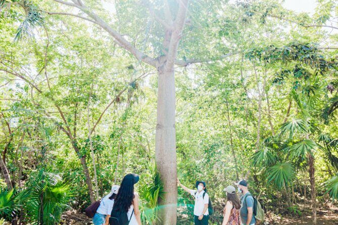 Tulum, Jungle ATV and Cenote Adventure - The Experience Provider: Mexico Sol Tours