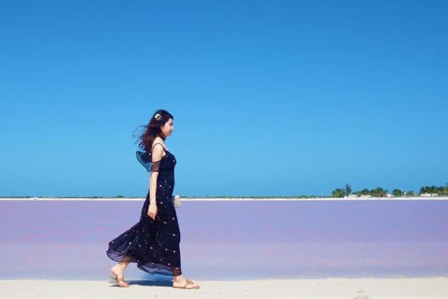 Tulum: Pink Lake, Rio Lagartos, Crocodile Flamingo Adventure - Wildlife and Conservation