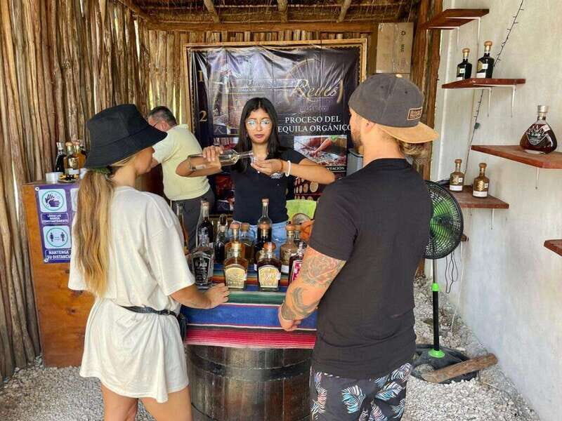 Tulum: Ruins by Boat, Swim with Turtles & Cenote Tour - Analyzing the Value