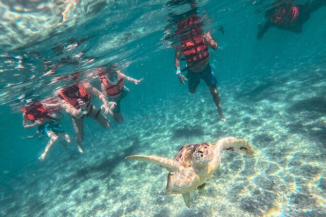 Tulum Ruins, Sea Turtles & Cenote Snorkeling Adventure Tour - A Complete Breakdown of the Experience