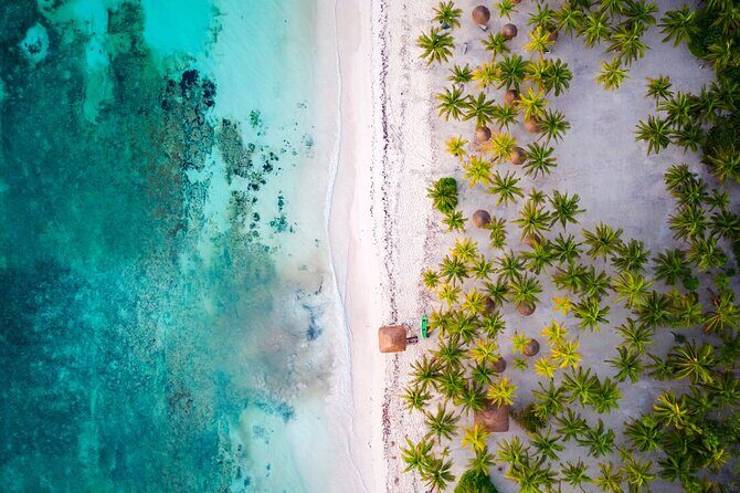 Tulum Sian Kaan Adventure : Dolphins, Turtles & Punta Allen - What Past Travelers Say