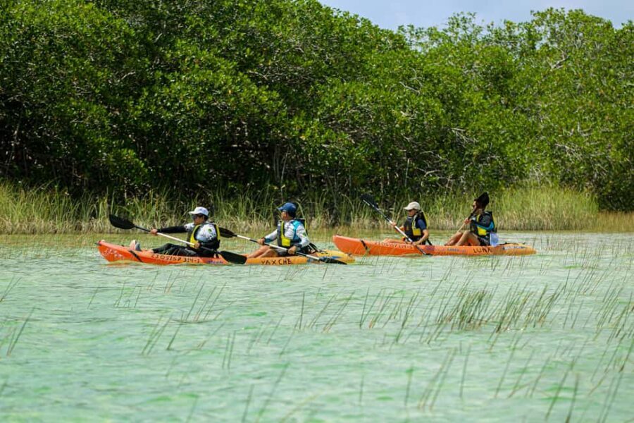 Tulum: Sian Ka'an Biosphere Reserve Kayak Tour - Practical Details That Matter