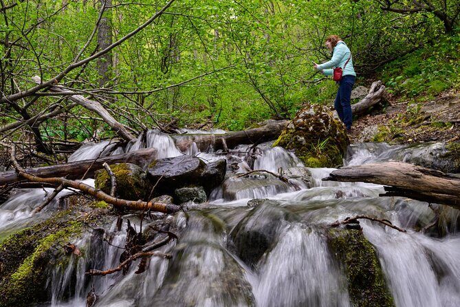 Turnagain Arm Highlights Photo Tour - Why Choose This Tour?