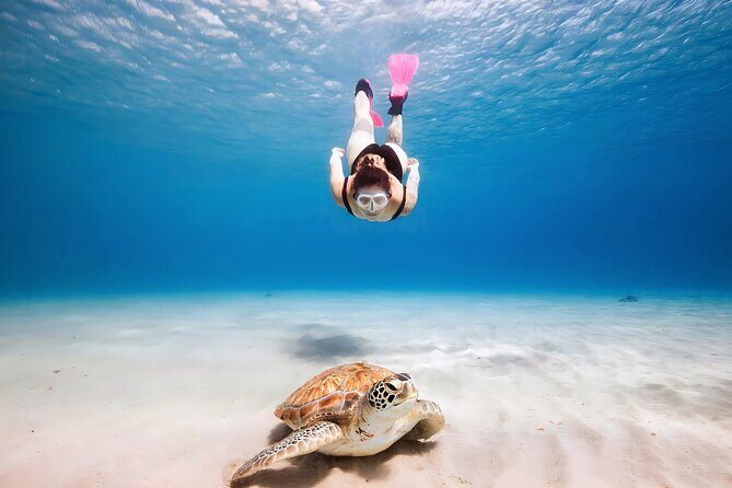 Turtle Sightseeing at Akumal & Underground Caves Tour - Who Will Love This Tour?