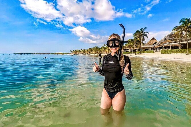 Turtles Encounter Akumal! Small group from Playa del Carmen - Detailed Breakdown of the Itinerary