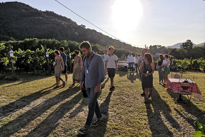 Tuscan Wine Tour in Lucca by van - The Itinerary in Detail