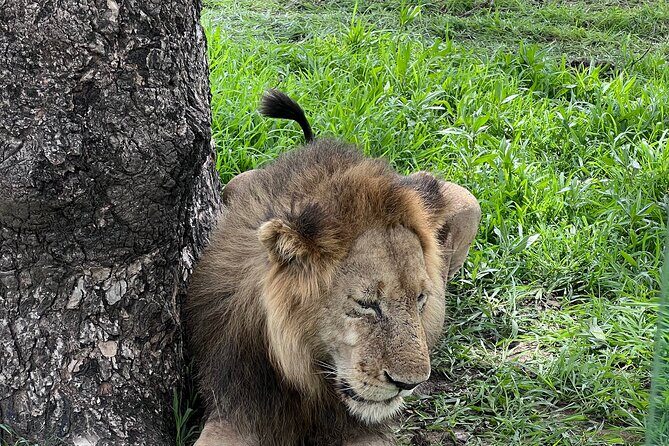 Two Days Safari by Train - The Value for Travelers