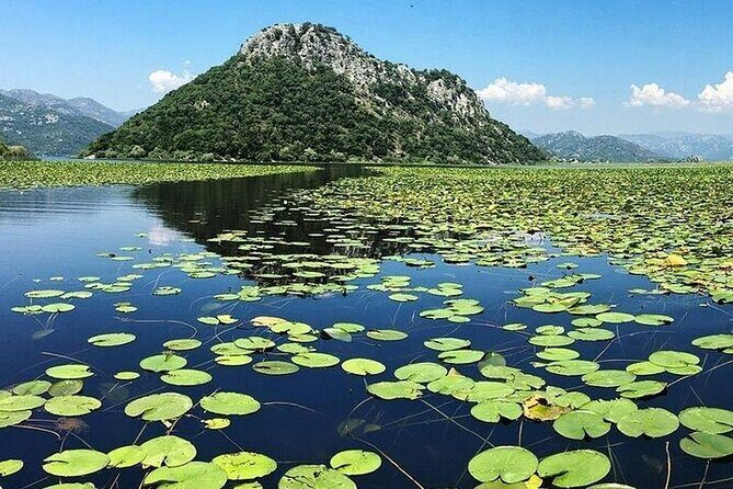 Two Hours Sightseeing Lake Cruise at Montenegro National Park - Practical Considerations